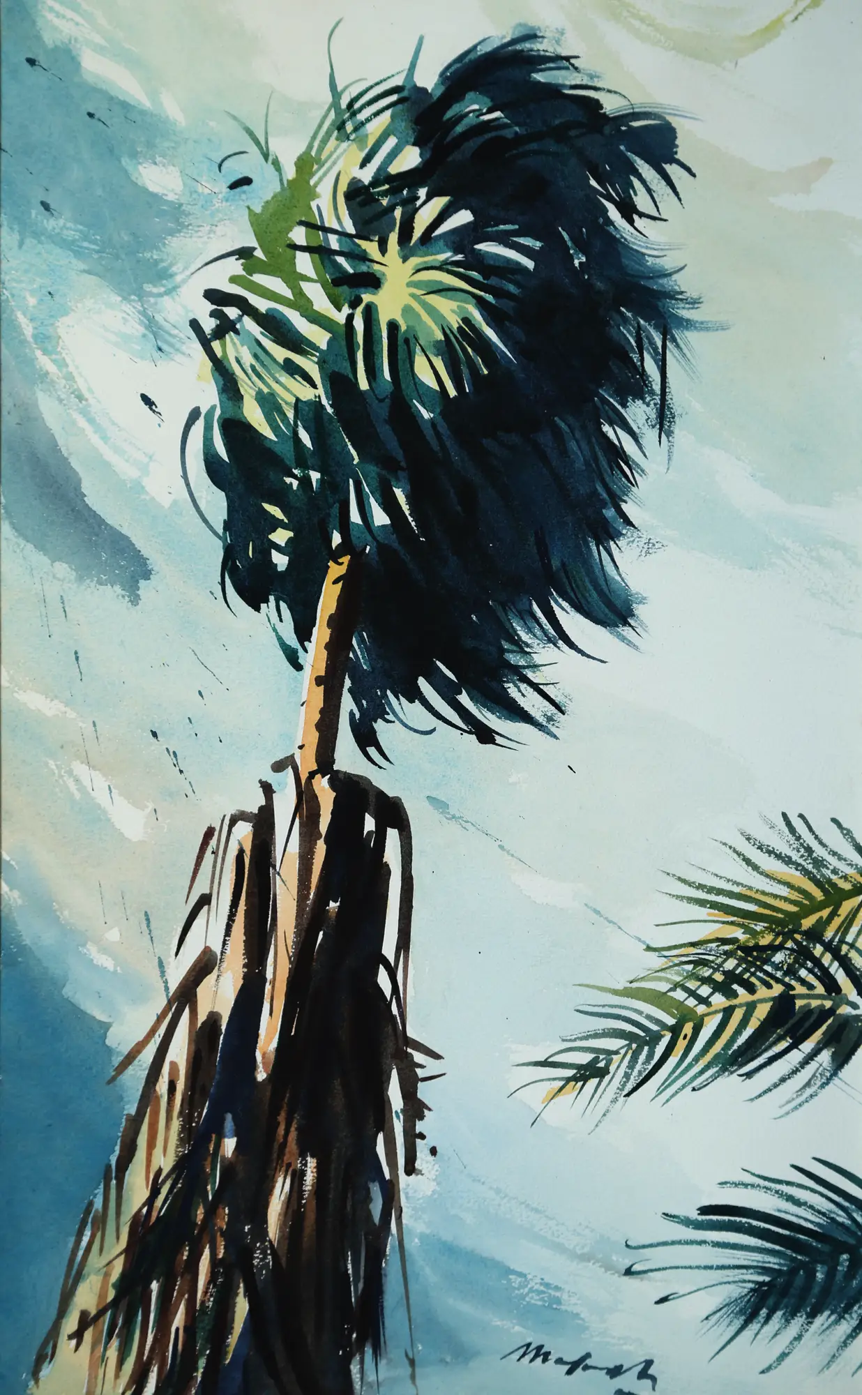 Windswept Palm #1