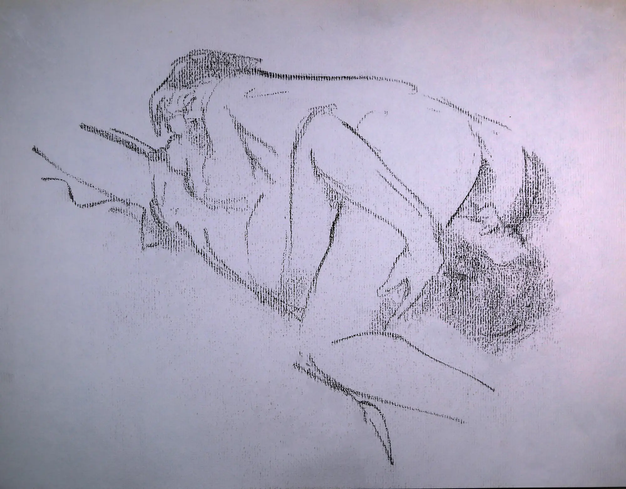 Drawing 65